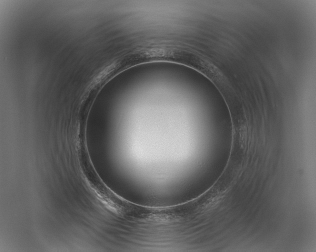 X0000060760490200511101144