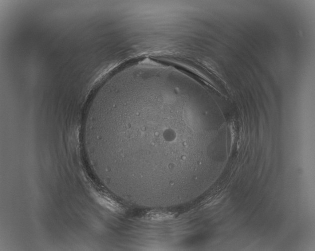 X0000060760491200511101144