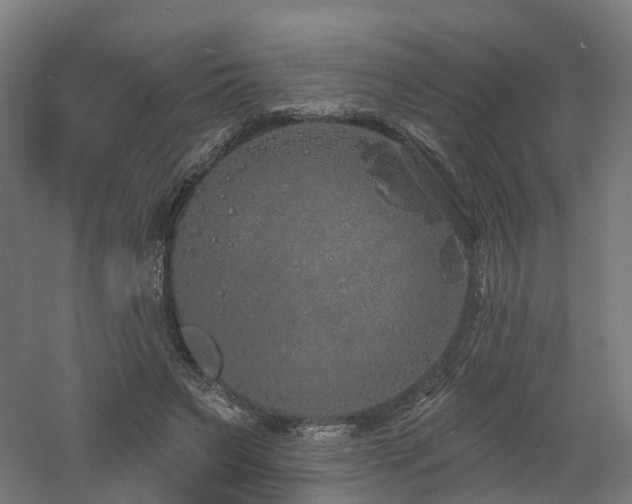 X0000060760495200511101144