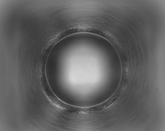 X0000060760496200511101144