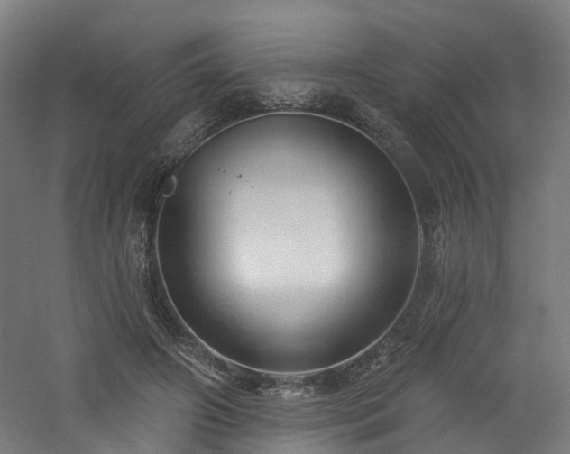 X0000060760498200511101144