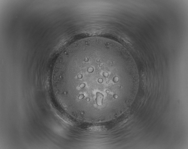 X0000060760499200511101144