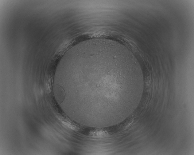 X0000060760503200511101144