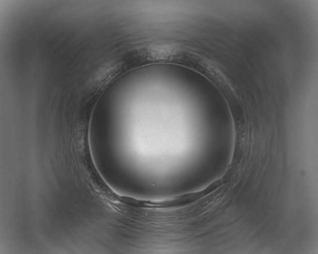 X0000060760505200511101144