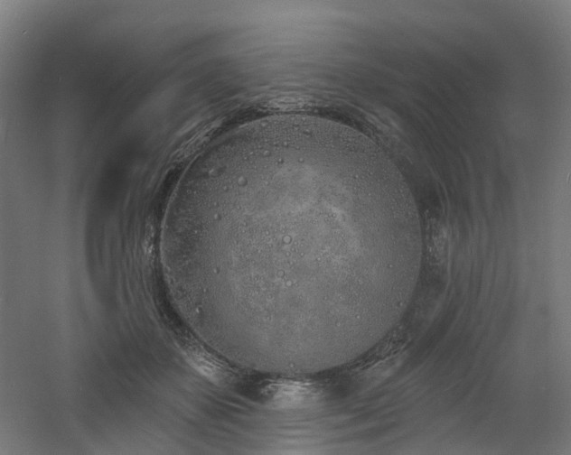 X0000060760507200511101144