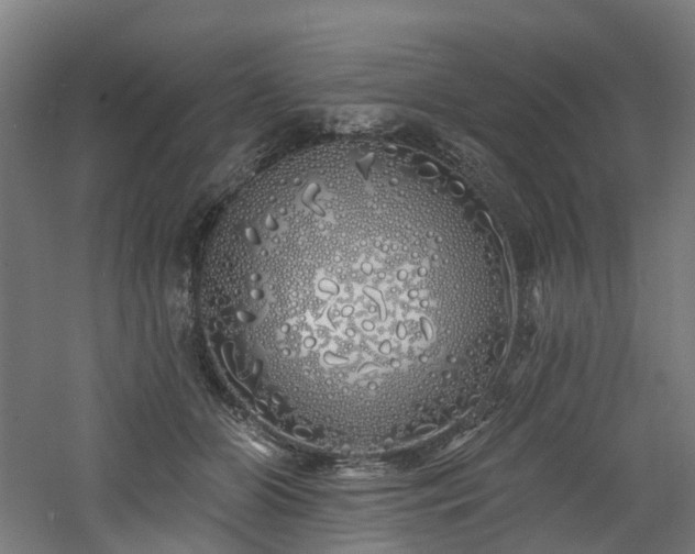 X0000060760510200511101143