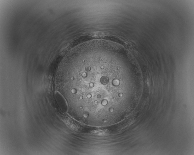 X0000060760511200511101143