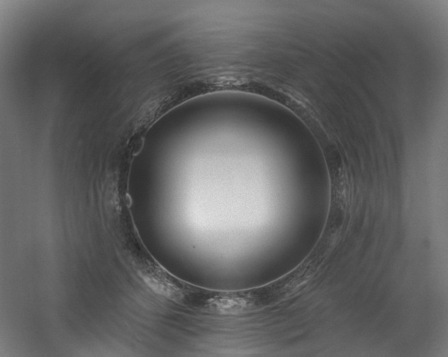 X0000060760512200511101143