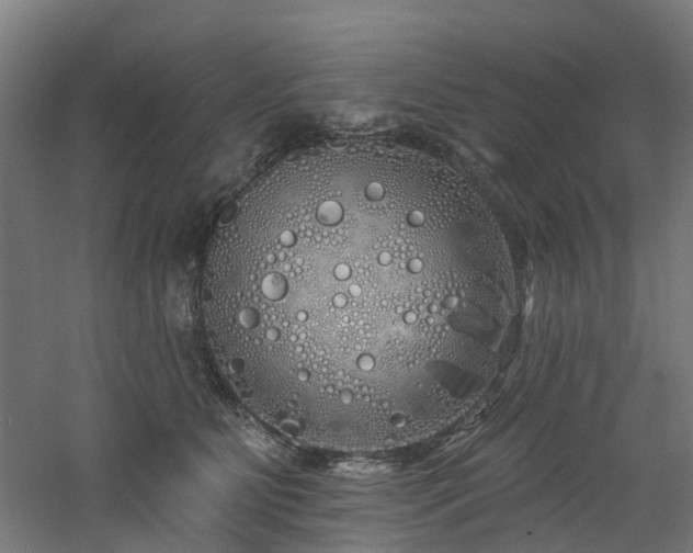 X0000060760515200511101143