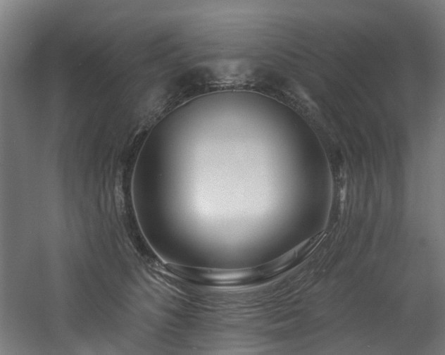 X0000060760516200511101143