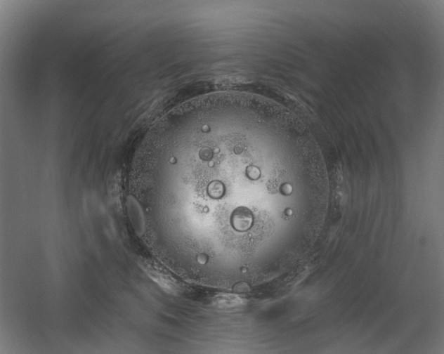 X0000060760519200511101143