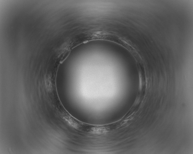 X0000060760520200511101143