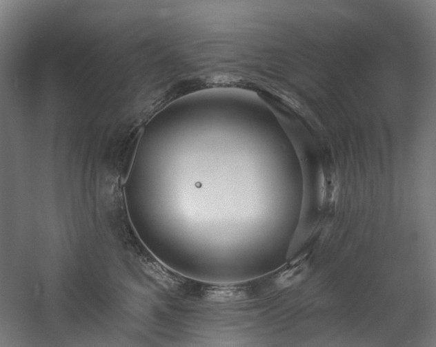 X0000060760521200511101143