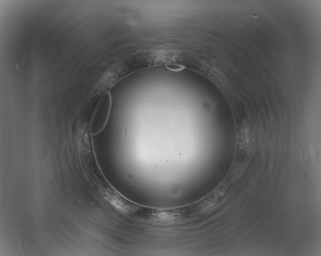 X0000060760522200511101143