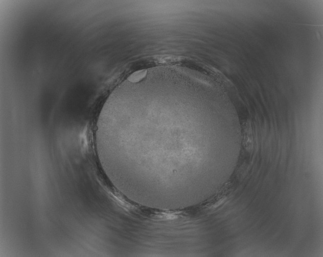 X0000060760523200511101143