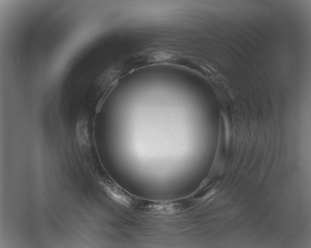 X0000060760524200511101143