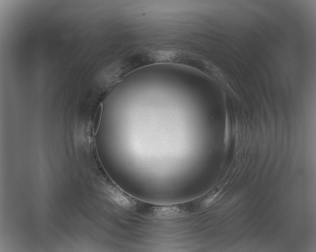 X0000060760525200511101143