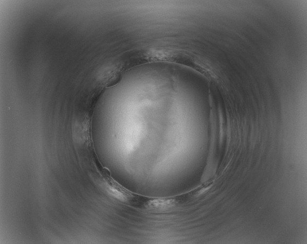 X0000060760526200511101143