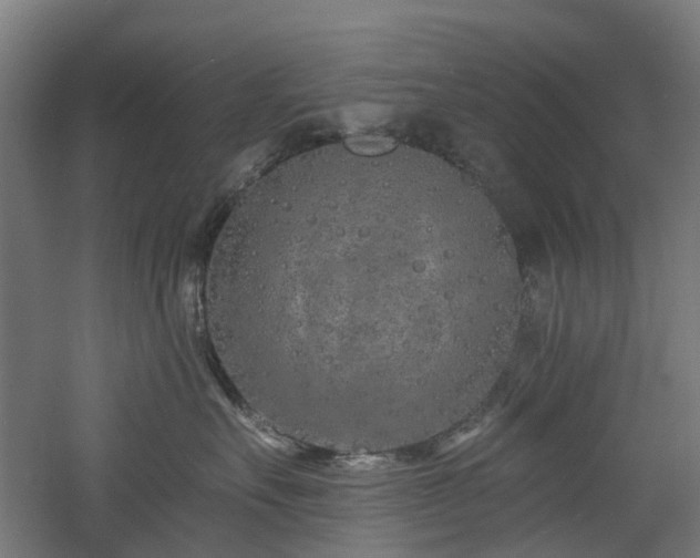 X0000060760527200511101143