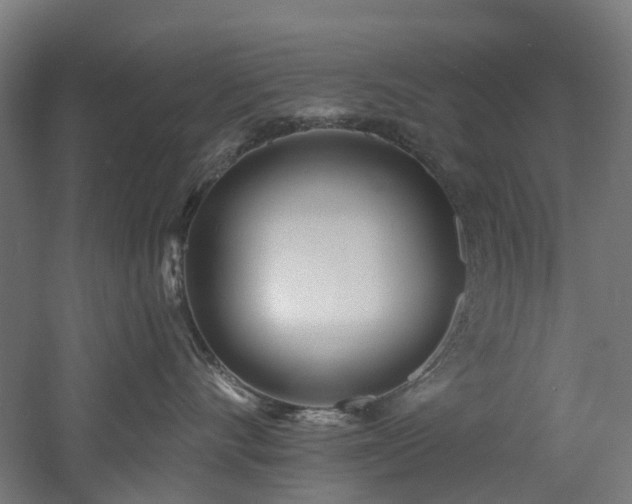 X0000060760528200511101143