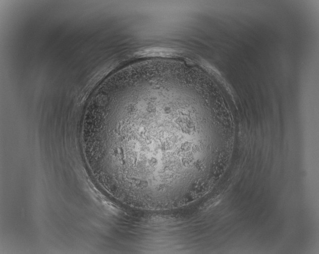 X0000060760529200511101142