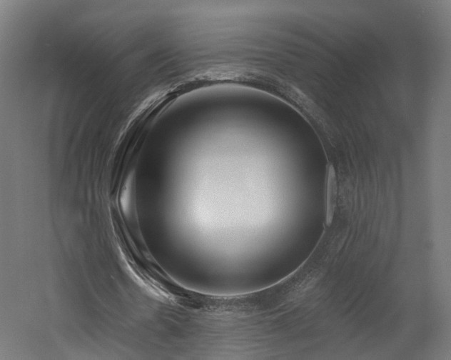 X0000060760530200511101142