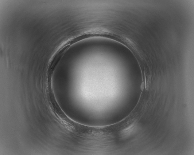 X0000060760531200511101142