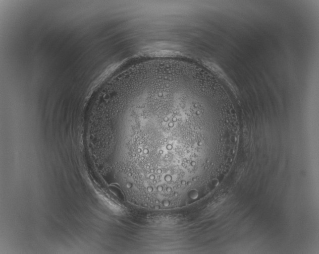 X0000060760533200511101142