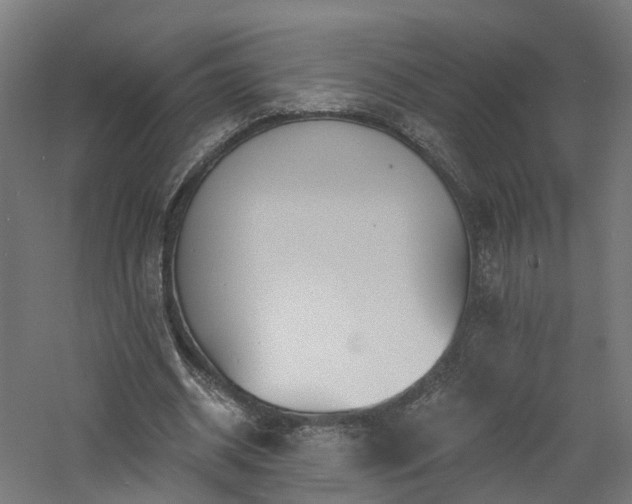 X0000060760534200511101142