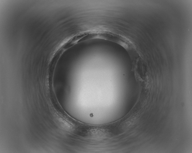 X0000060760535200511101142