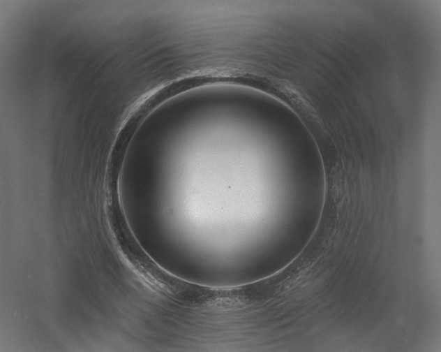 X0000060760536200511101142