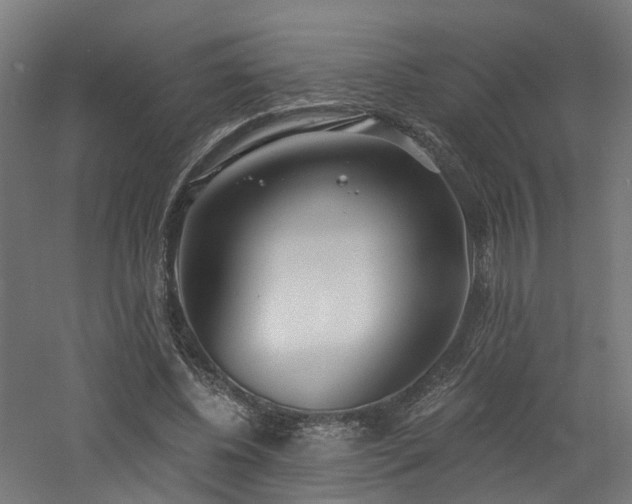 X0000060760540200511101143