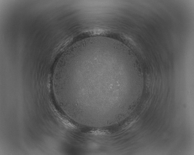 X0000060760545200511101143