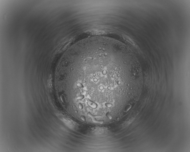 X0000060760549200511101143