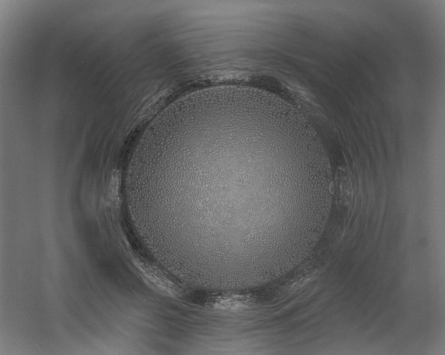 X0000060760550200511101143