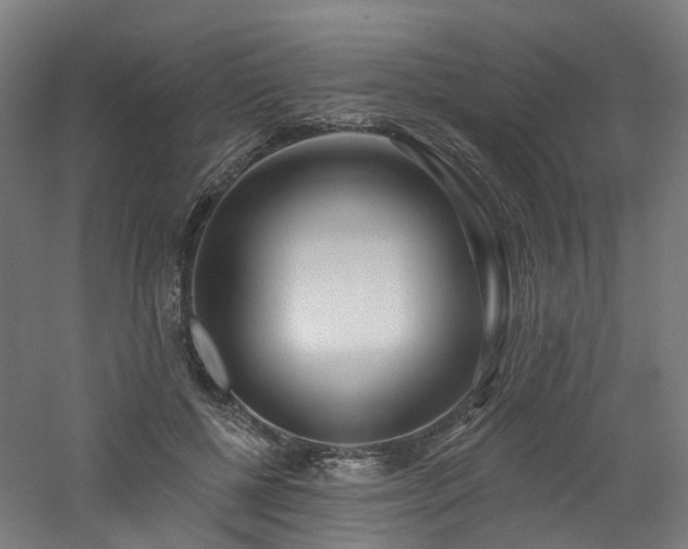 X0000060760552200511101143