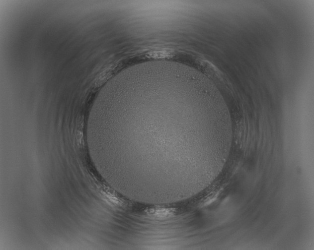 X0000060760553200511101143