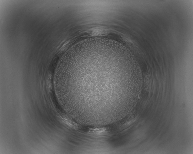 X0000060760554200511101143