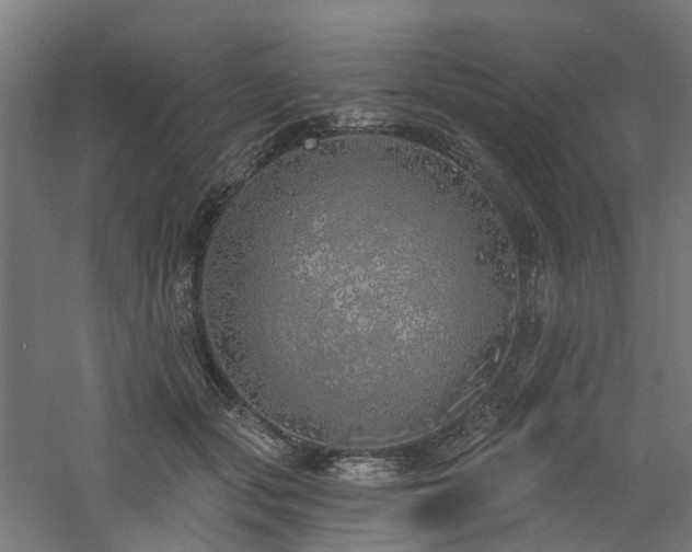 X0000060760557200511101143