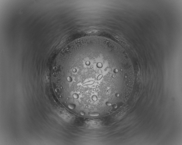 X0000060760561200511101143