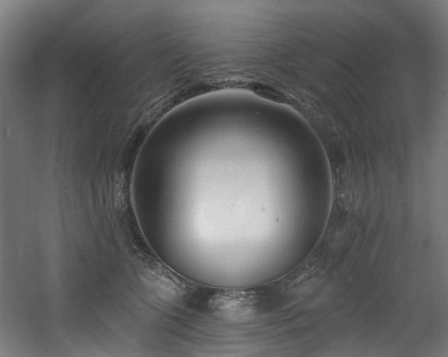 X0000060760563200511101143