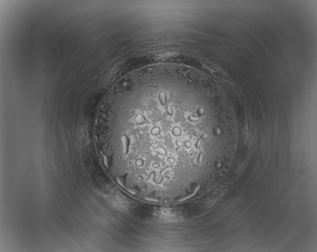 X0000060760565200511101143