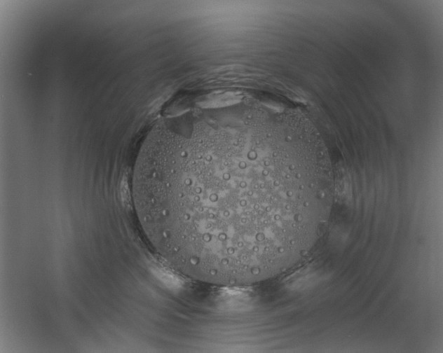 X0000060760573200511101143