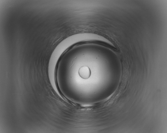 X0000060760576200511101143