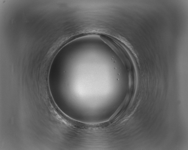 X0000060760577200511101142