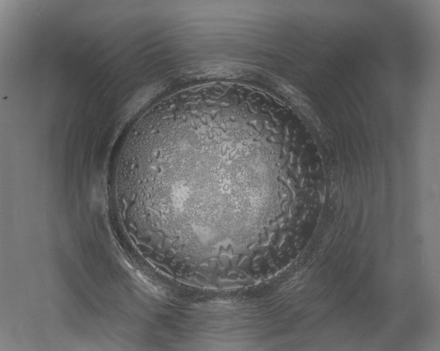 X0000060760578200511101142