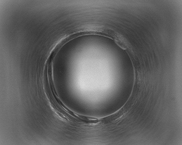 X0000060760580200511101142