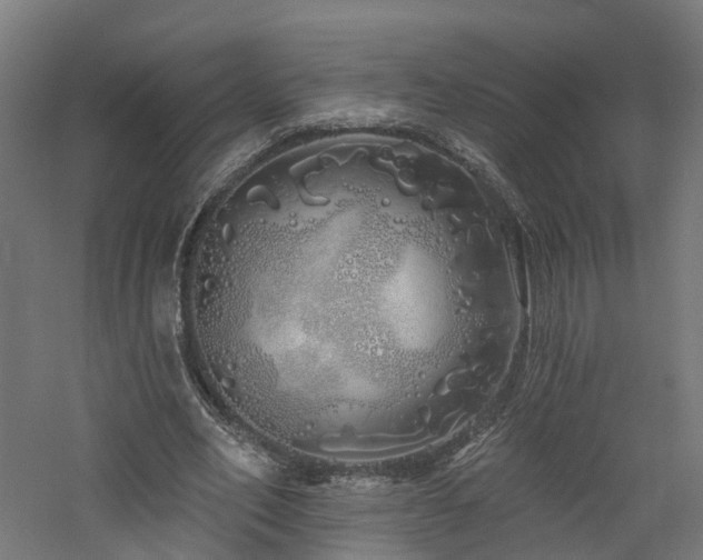 X0000060760582200511101142