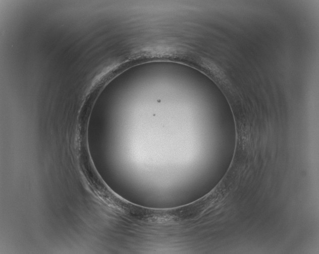 X0000060760583200511101142