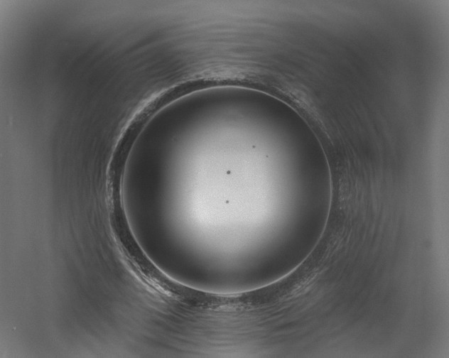 X0000060760584200511101142